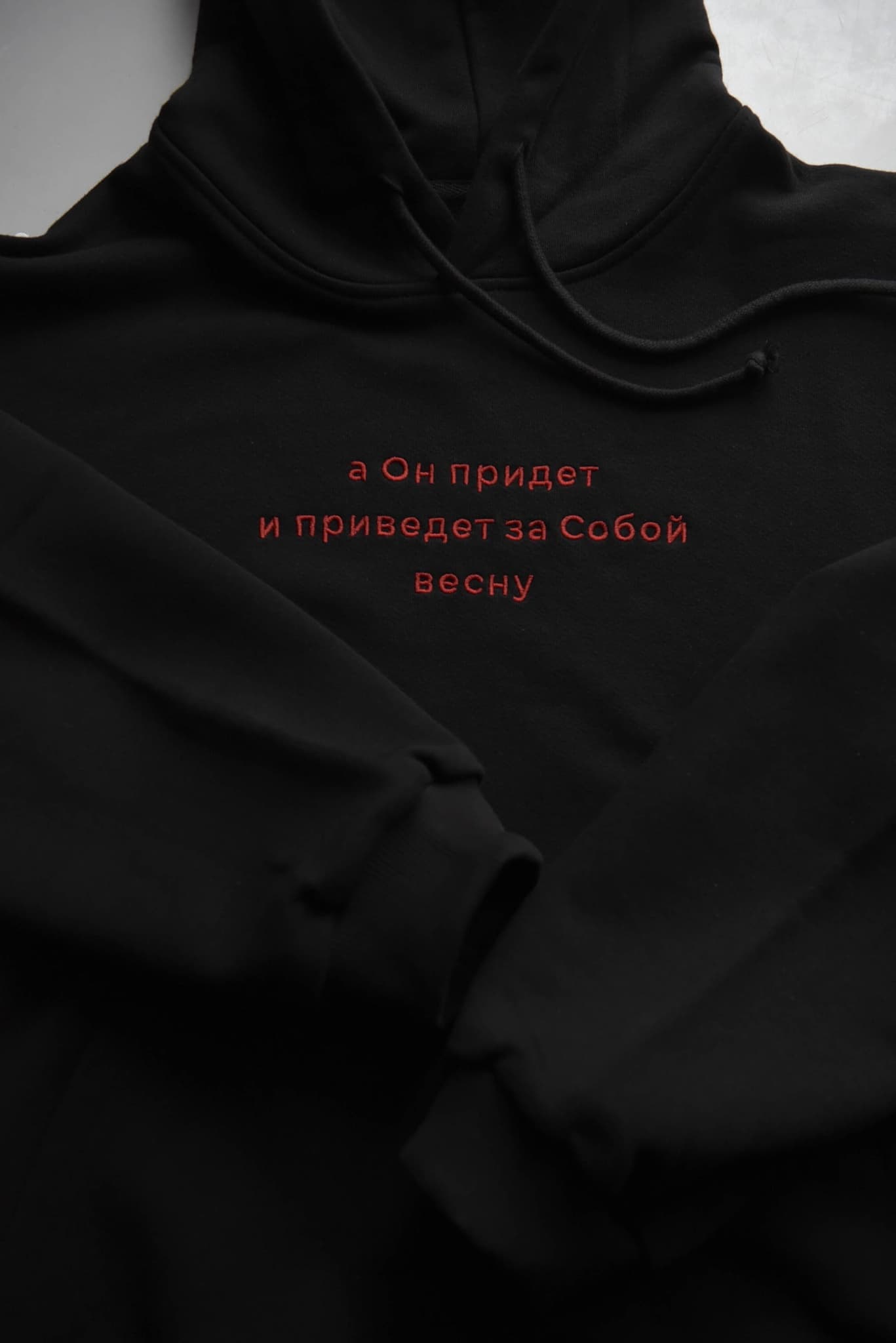 Худи с вышивкой "А Он придет и приведет за собой весну" image 11