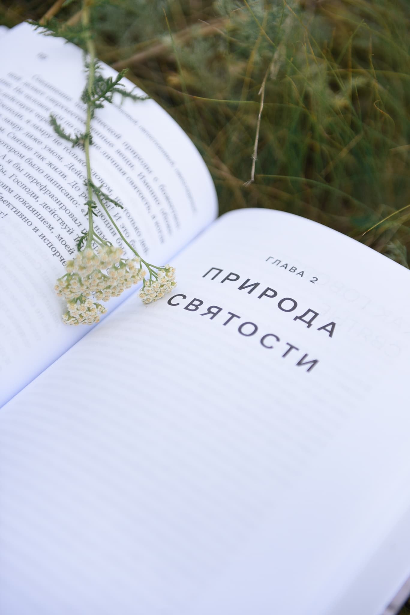 Книга "Наша Великая Надежда" протоиерея Сергия Баранова image 6