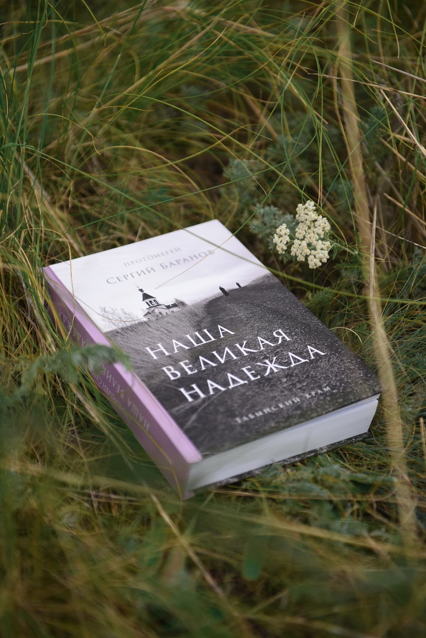 Книга "Наша Великая Надежда" протоиерея Сергия Баранова image 3