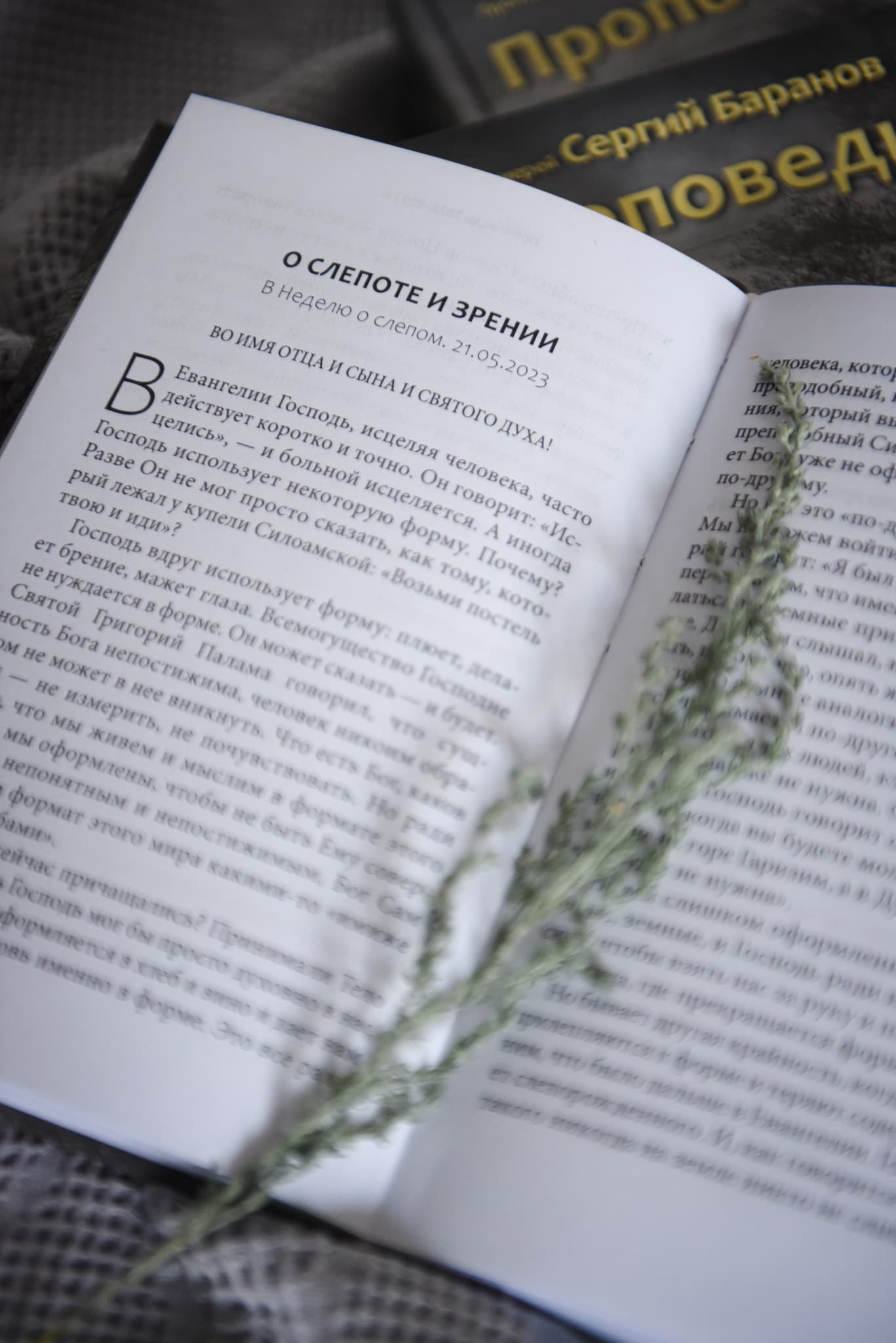 Книга "Проповеди" протоиерея Сергия Баранова image 3
