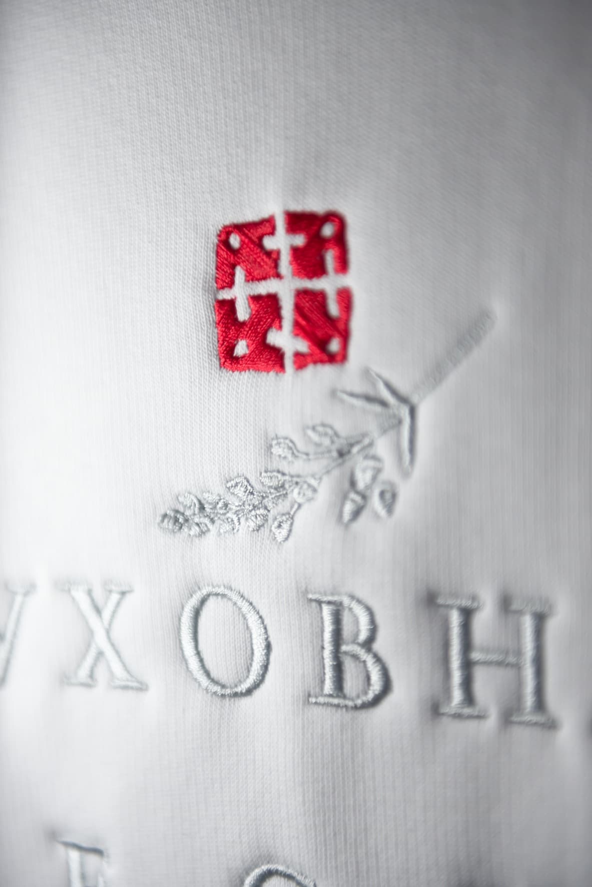 Худи "Духовная весна". Ограниченная серия image 6