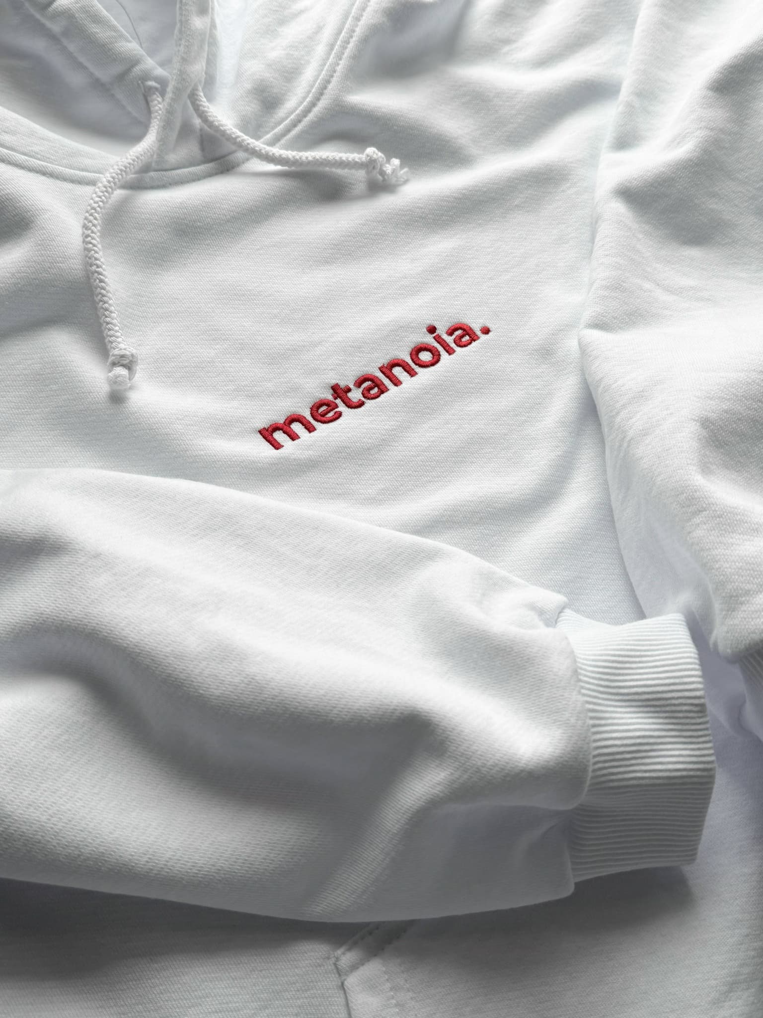 Худи с вышивкой "Metanoia"(покаяние) image 25