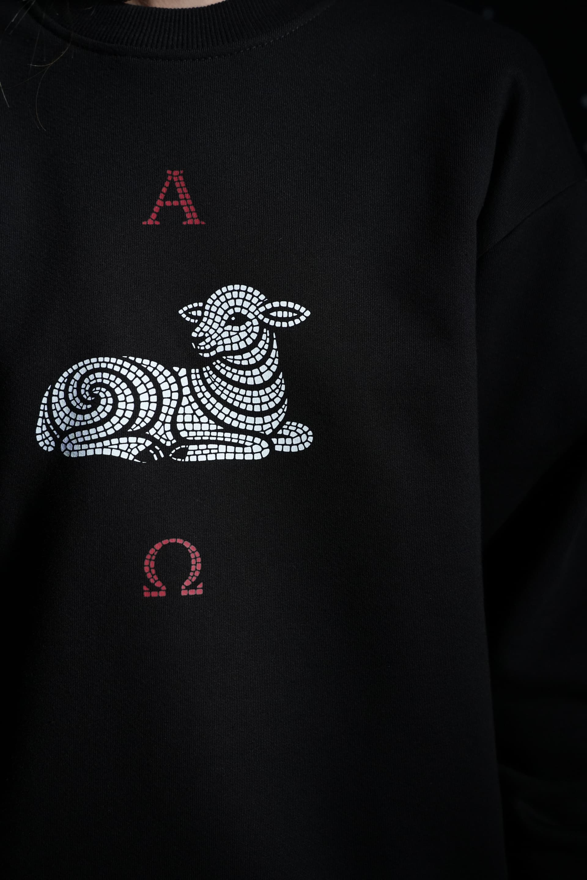 Свитшот "Альфа и Омега" image 10